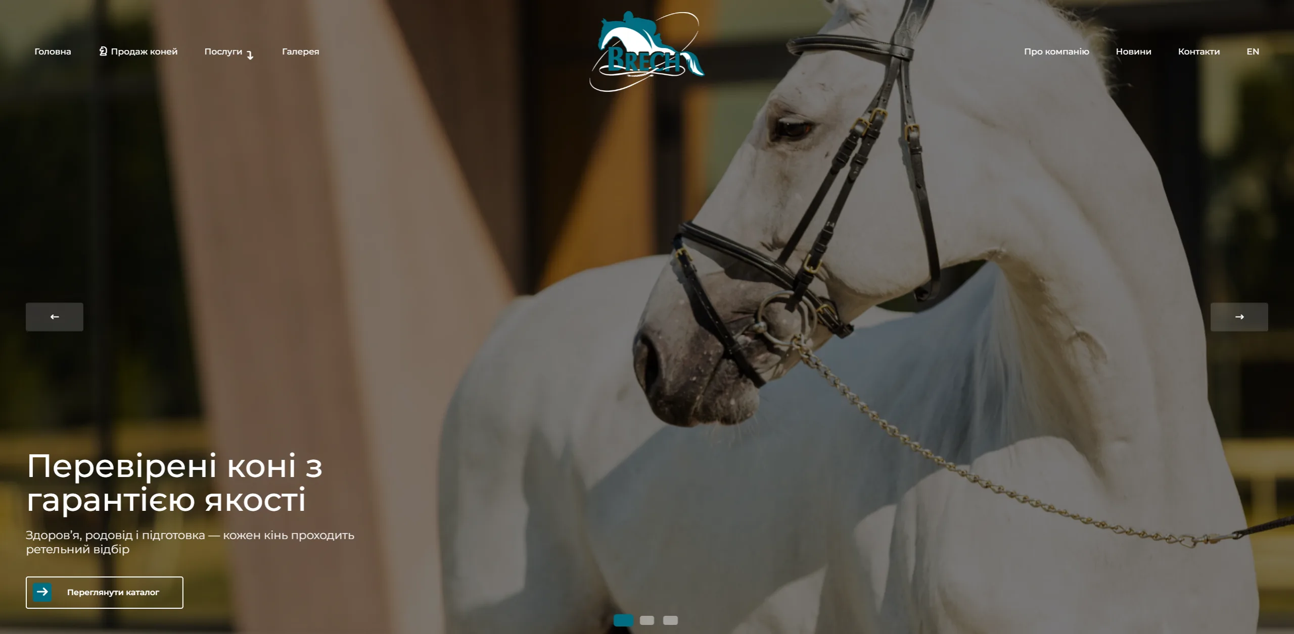 Brech Horses